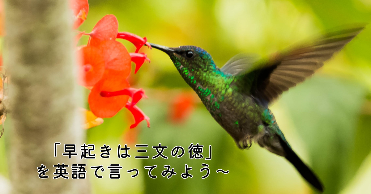 「早起きは三文の徳」を英語で言ってみよう